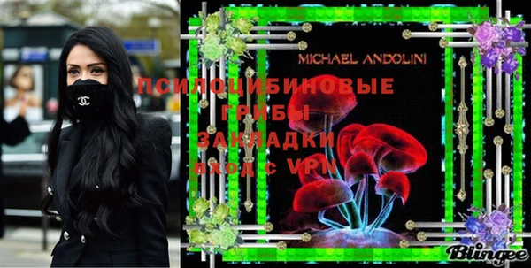 дмт Алзамай