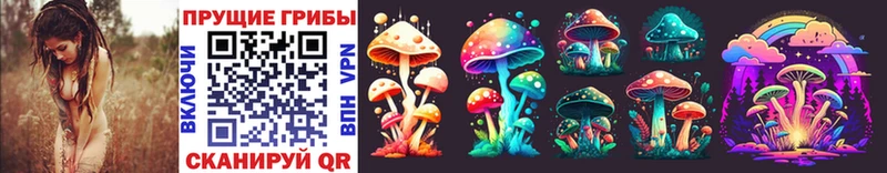 Псилоцибиновые грибы Psilocybe  наркота  Обнинск 