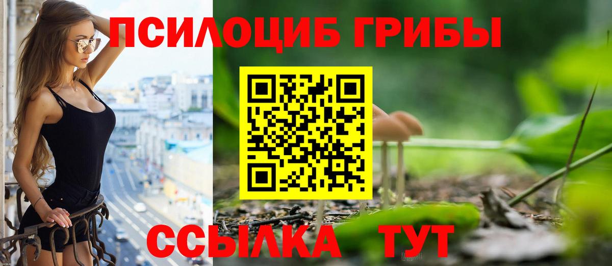 Псилоцибиновые грибы мицелий  Галлюциногенные грибы GOLDEN TEACHER  Вход с VPN  Обнинск 