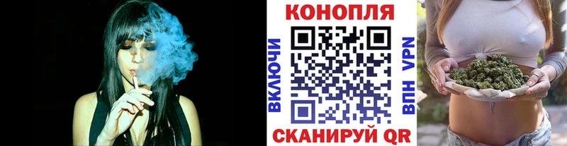 Бошки Шишки MAZAR  Обнинск 